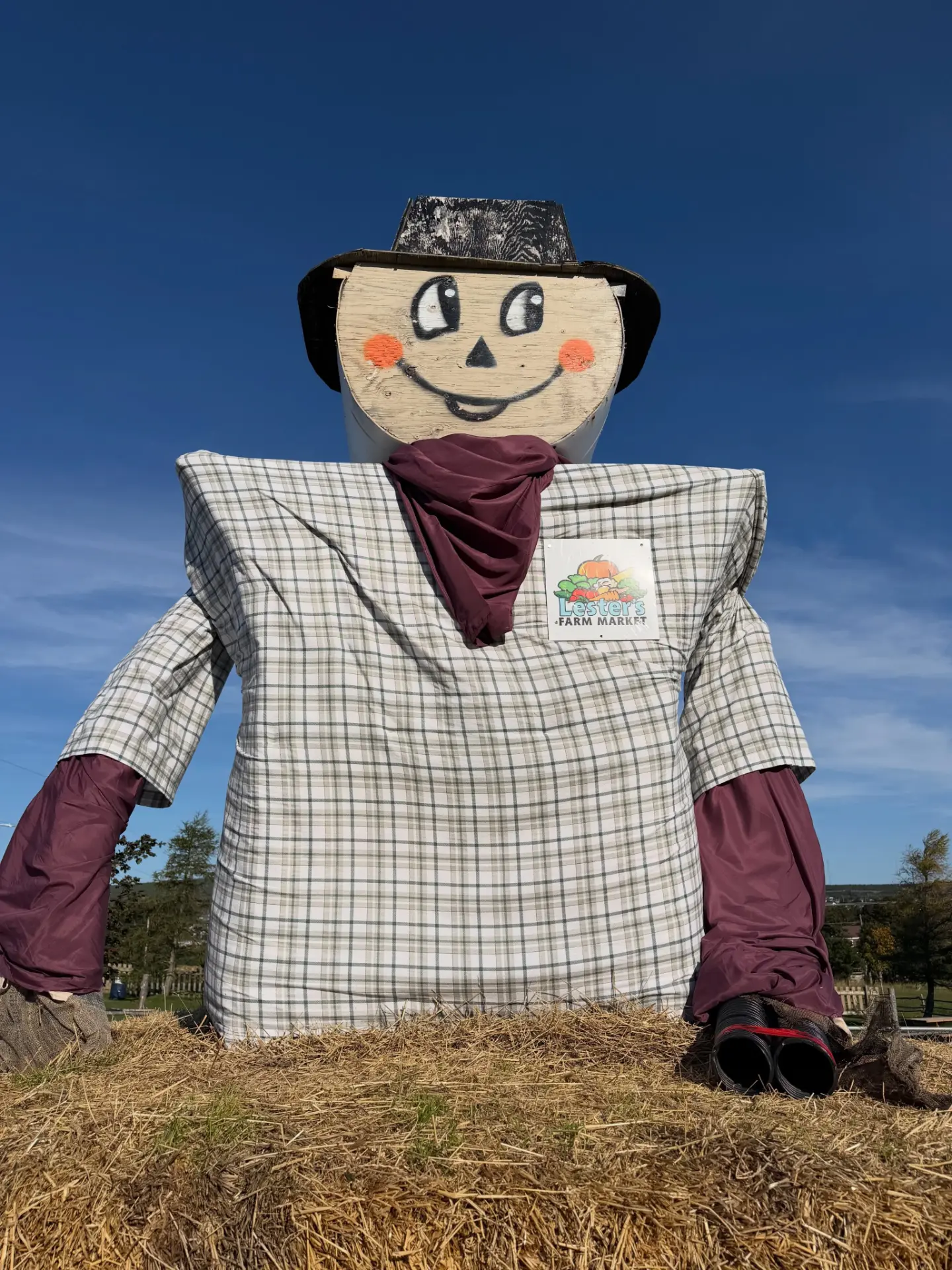 Field of Fun at Lester’s Farm Market — Saturdays