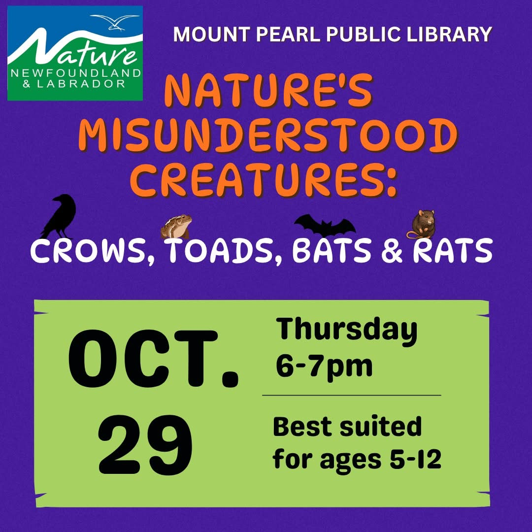 Nature’s Misunderstood Creatures: Crows, Toads, Bats & Rats